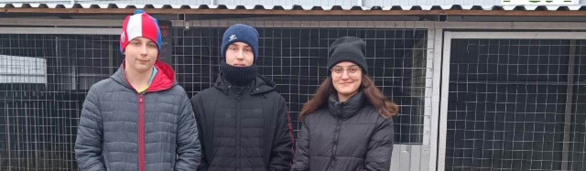 Подведены итоги акции «Помощь пушистому другу»